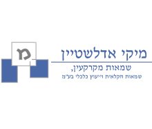 מיקי אדלשטיין שמאי מקרקעין